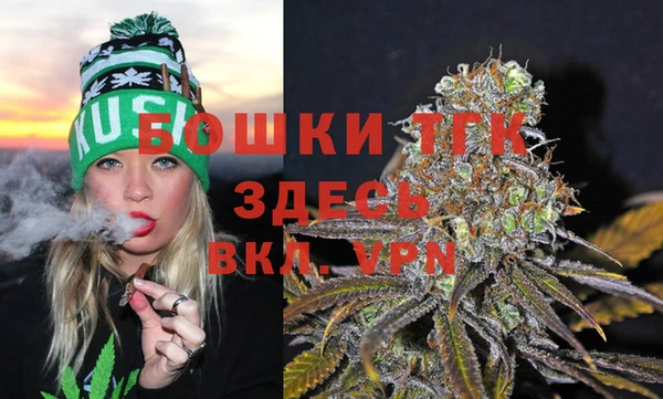 прущие грибы Абдулино