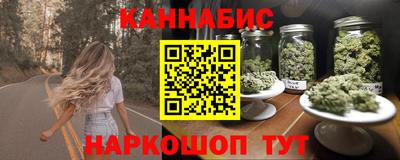МДПВ Новодвинск