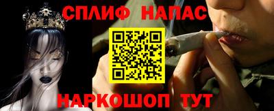 МДПВ Новодвинск