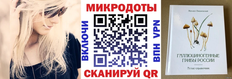 что такое   Чита  Псилоцибиновые грибы Psilocybe 