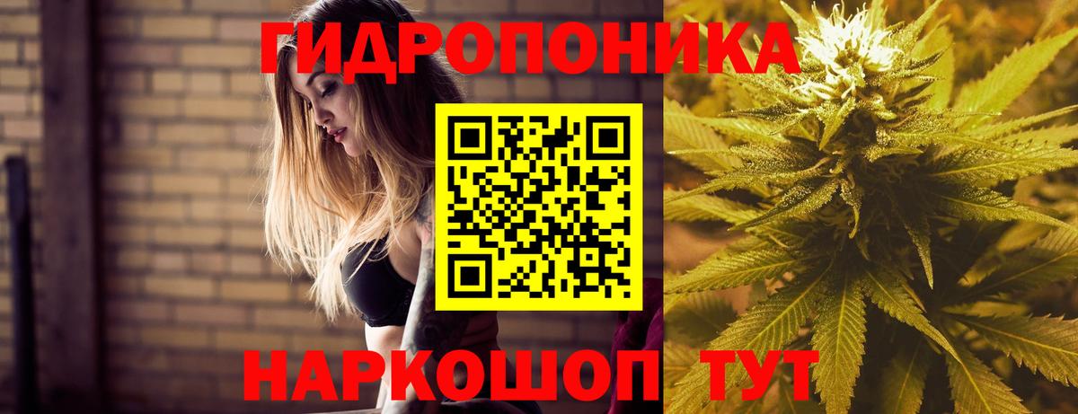 Бошки Шишки ГИДРОПОН  Канабис Amnesia  Вход с VPN  Чита 